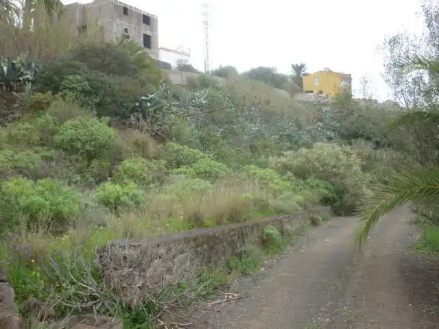 Terrain rustique à vendre à Olivos (A Los), imagen 3