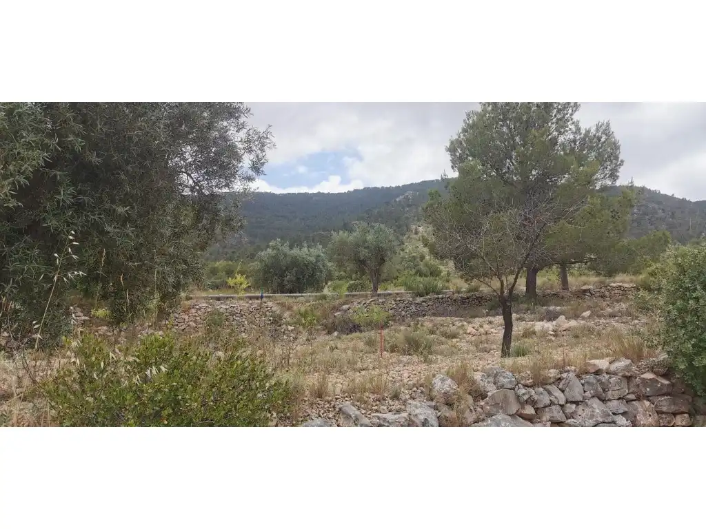 Terrain rustique à vendre à Poligono 7 Paraje 94 Umbria, imagen 5