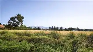 Residential for sale in Pedanias