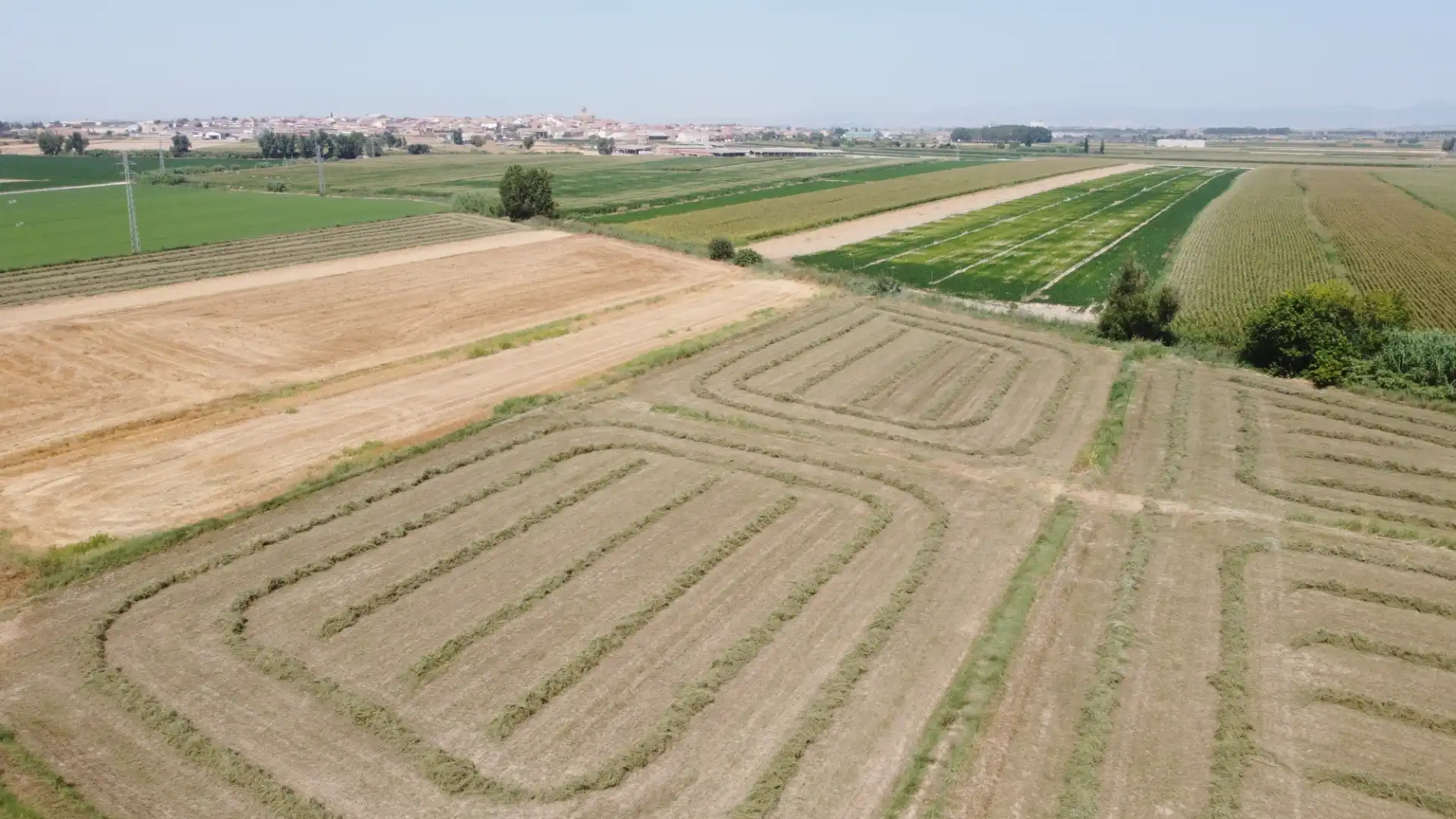 Terreno rustico in vendita a N/A, imagen 4