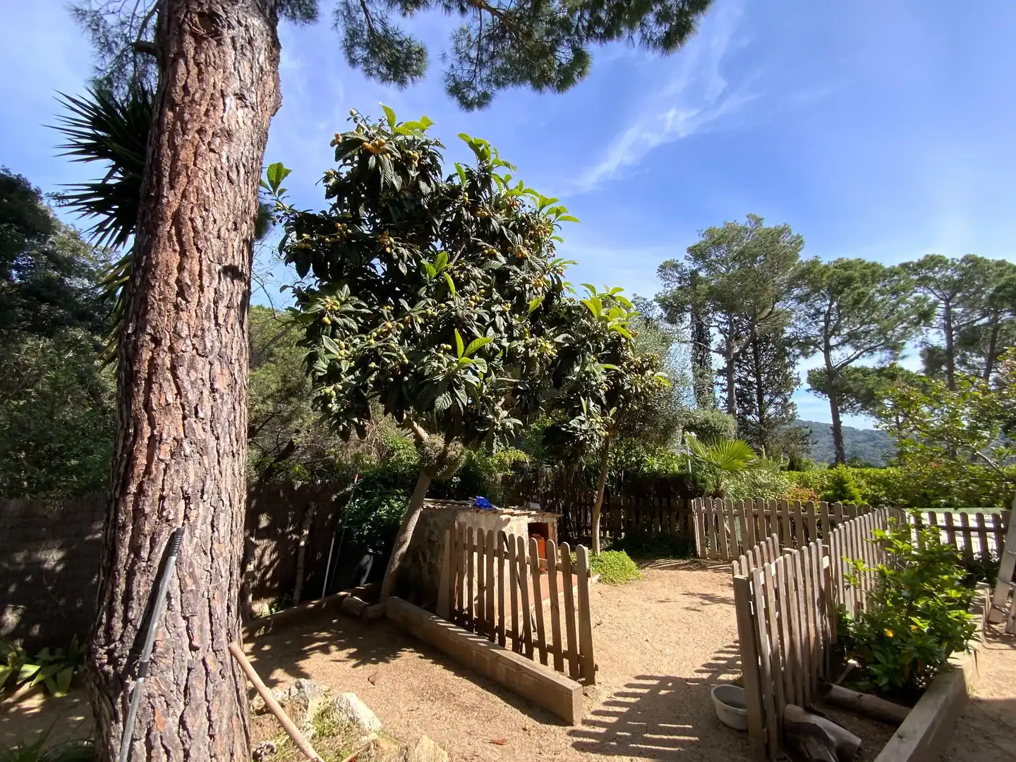 Haus mit Pool zum Verkauf in Montalnou - Milans del Bosc, imagen 17