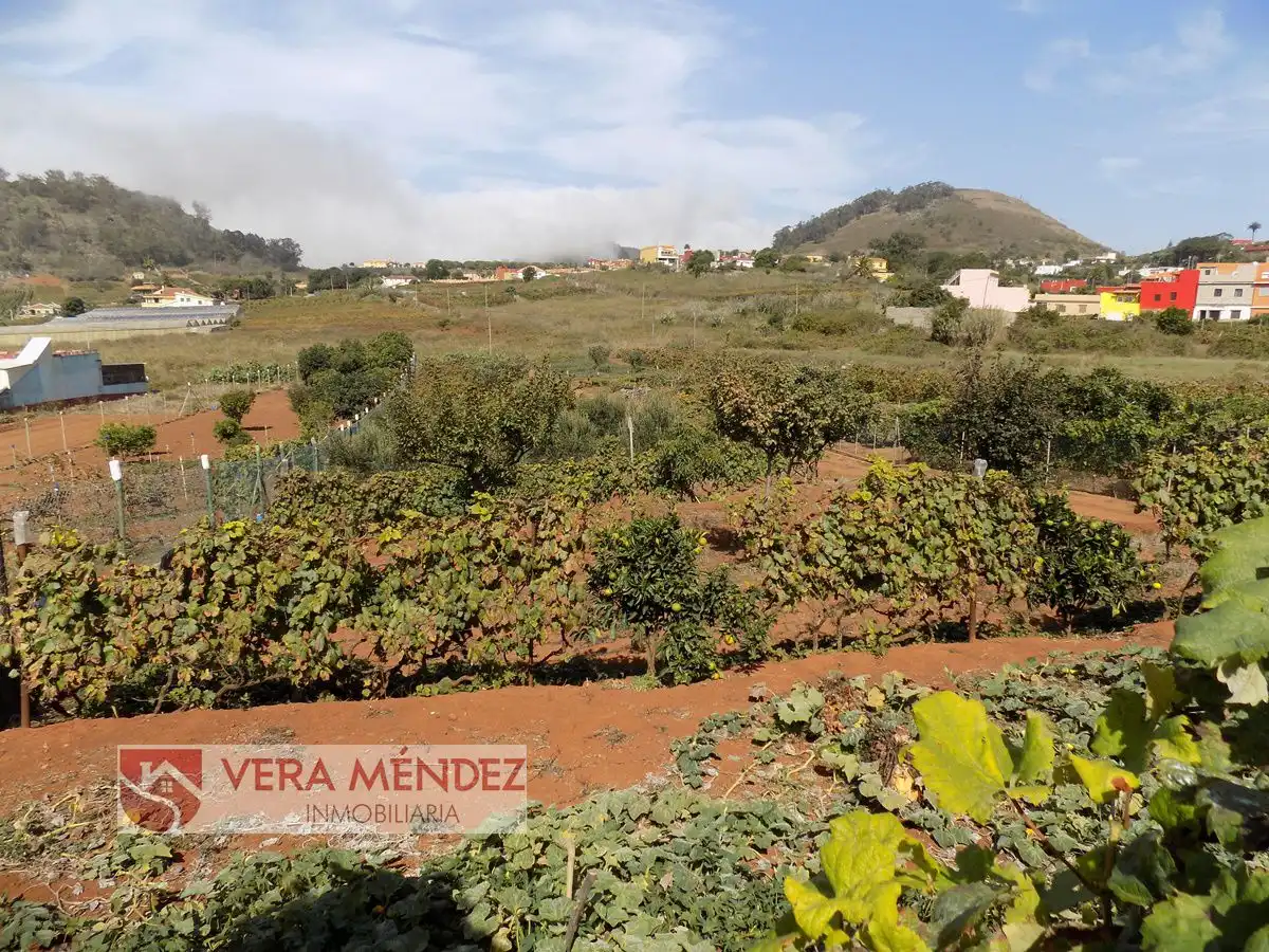 Garden of Country homes for sale in Tacoronte