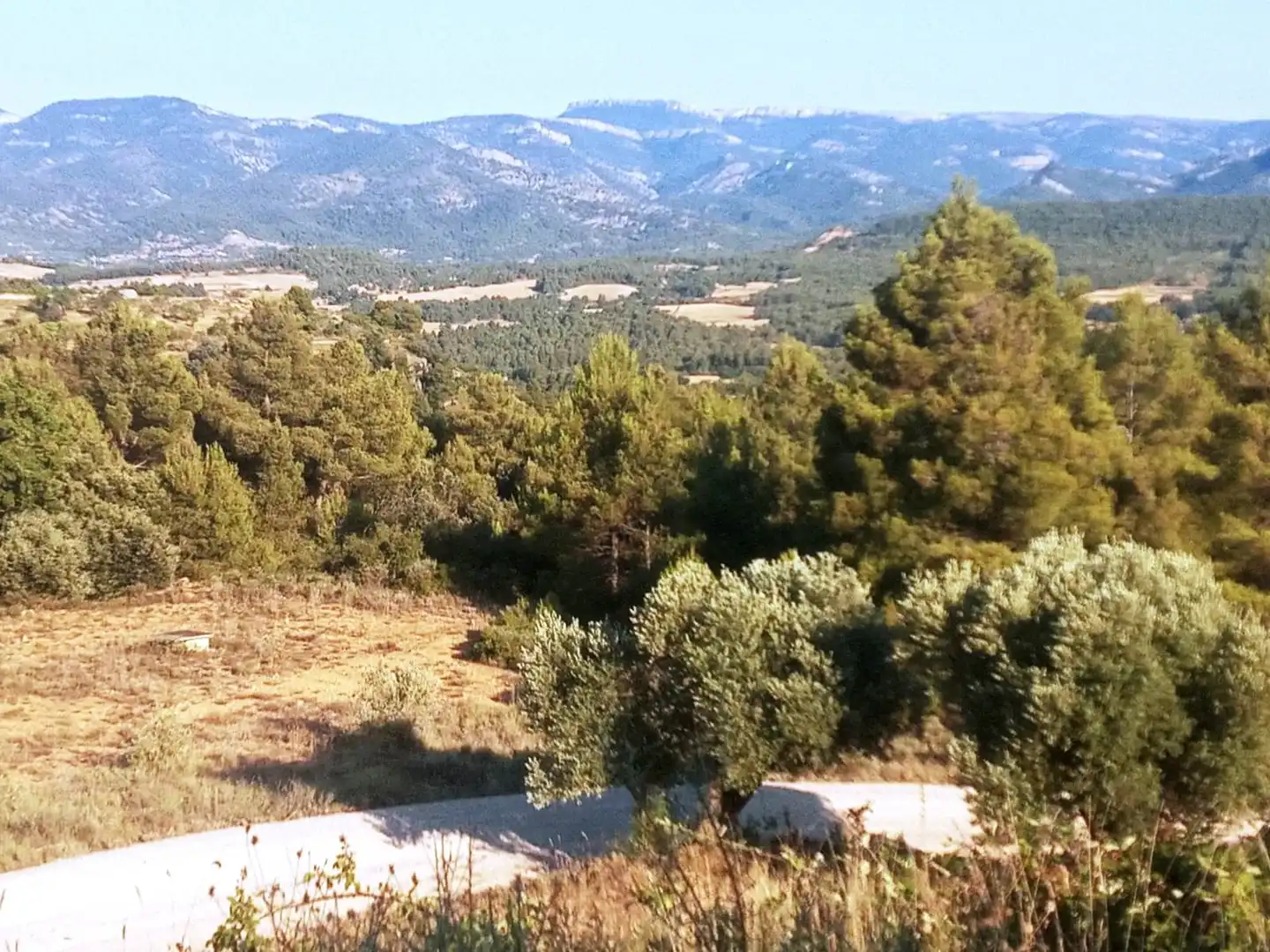 Terreni e lotti in vendita a Monroyo, imagen 4