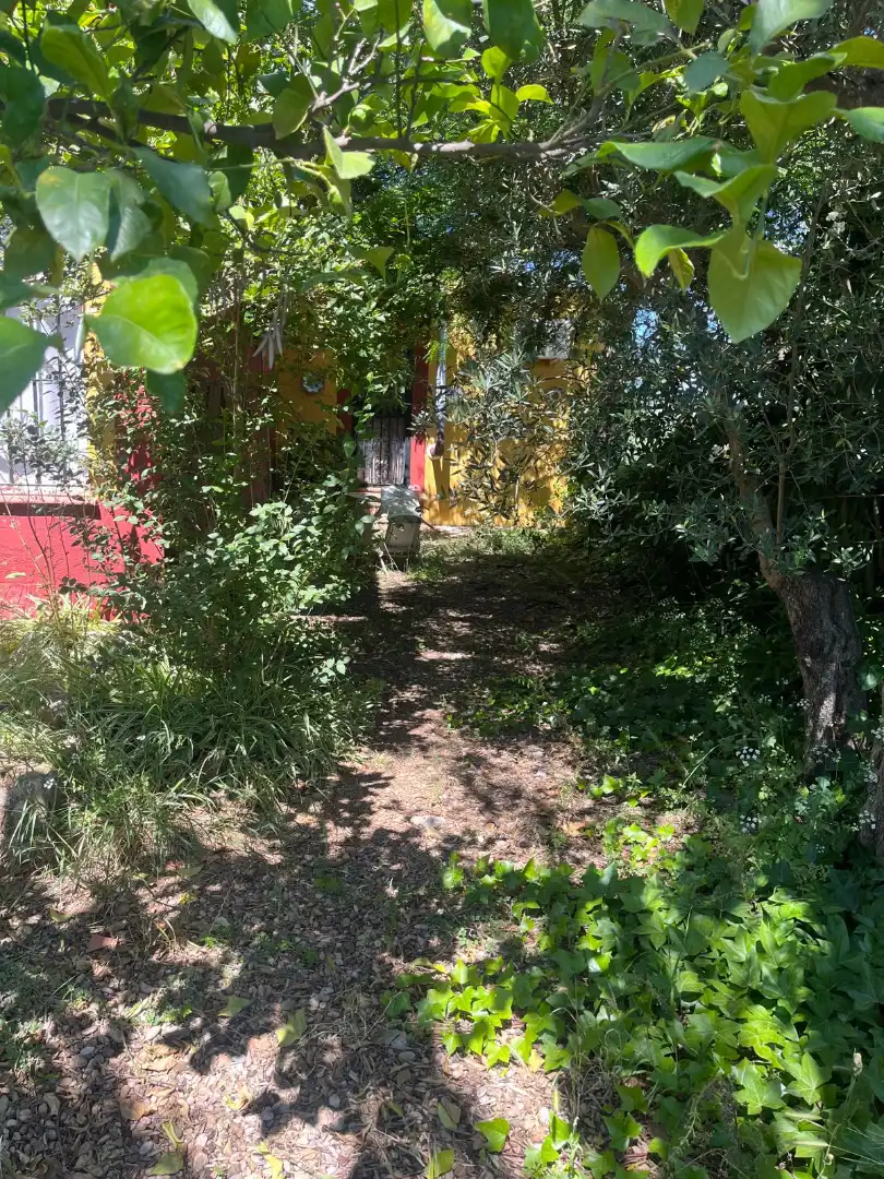 Chalet con piscina en venta en La Carlota, imagen 7