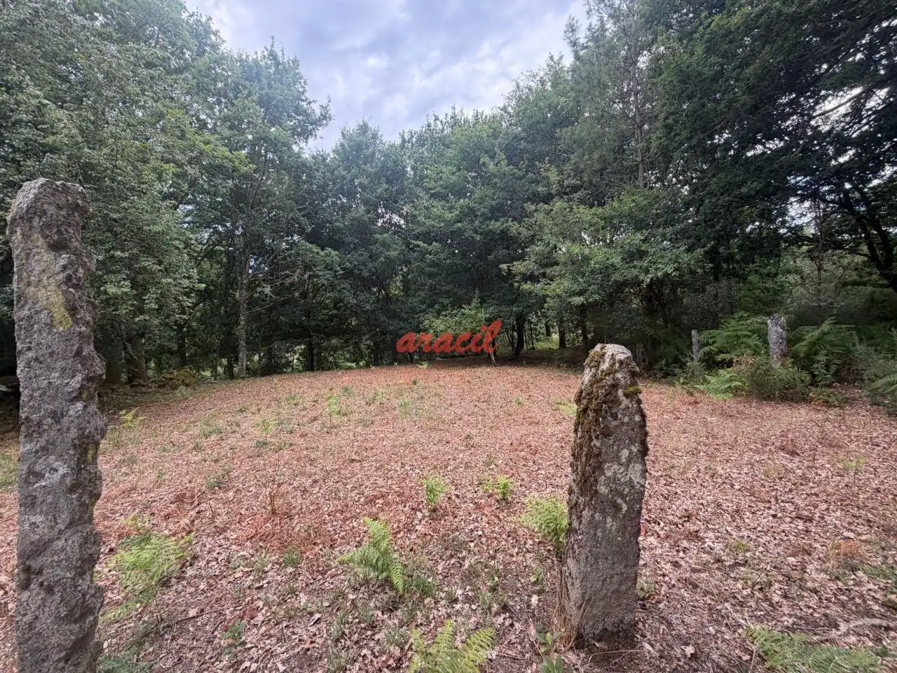 Finca rústica en venda en Amoeiro amb Calefacció, Jardí privat i Balcó