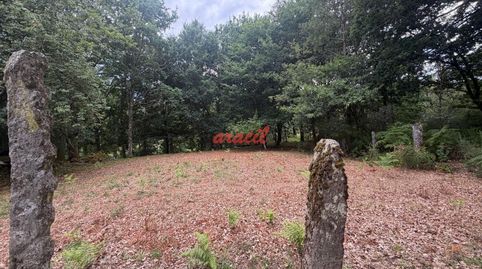 Foto 4 de Finca rústica en venda a Amoeiro, Ourense