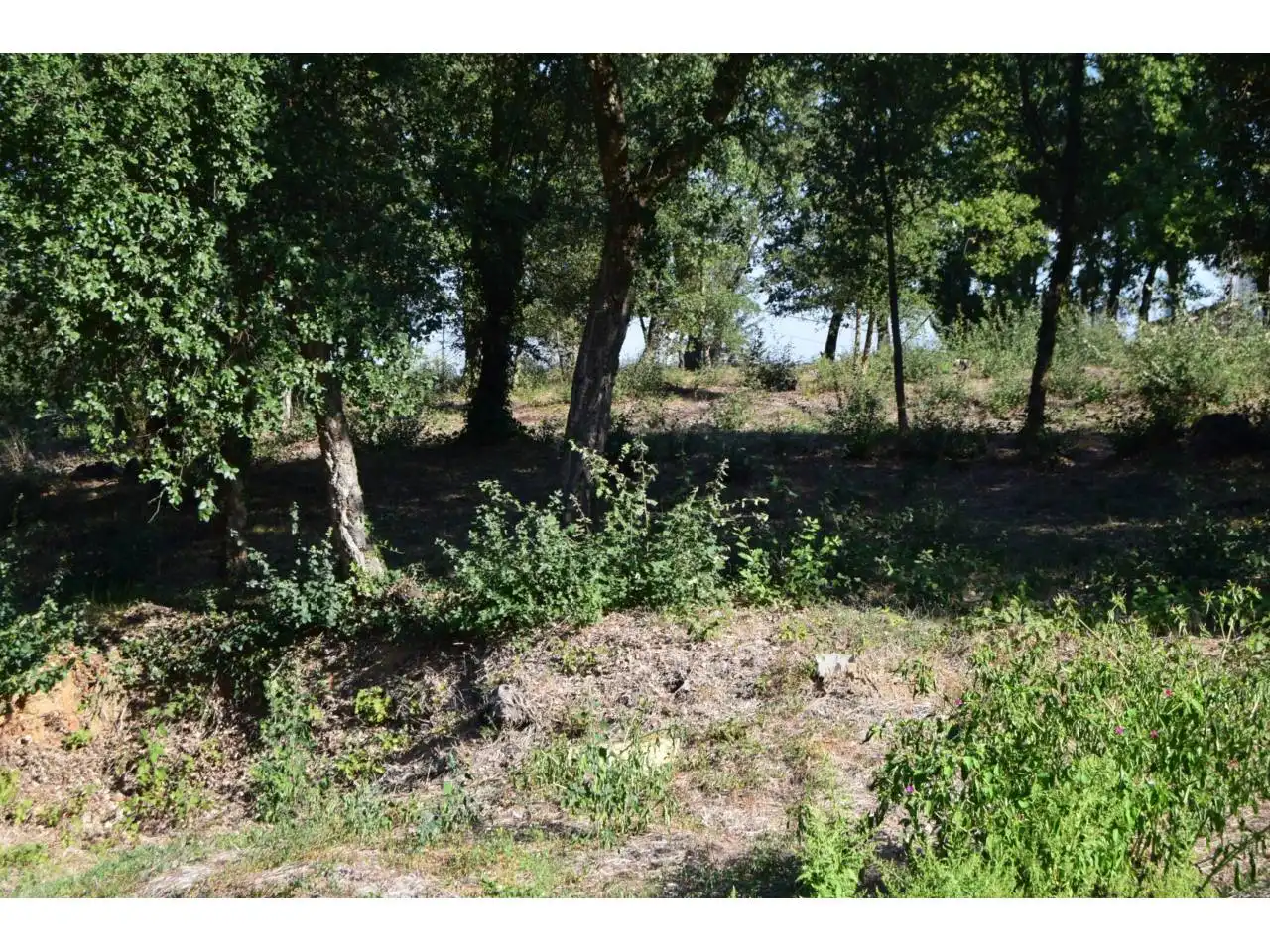 Residential land for sale in Calle PUIG DE LES CADIRETES, imagen 3