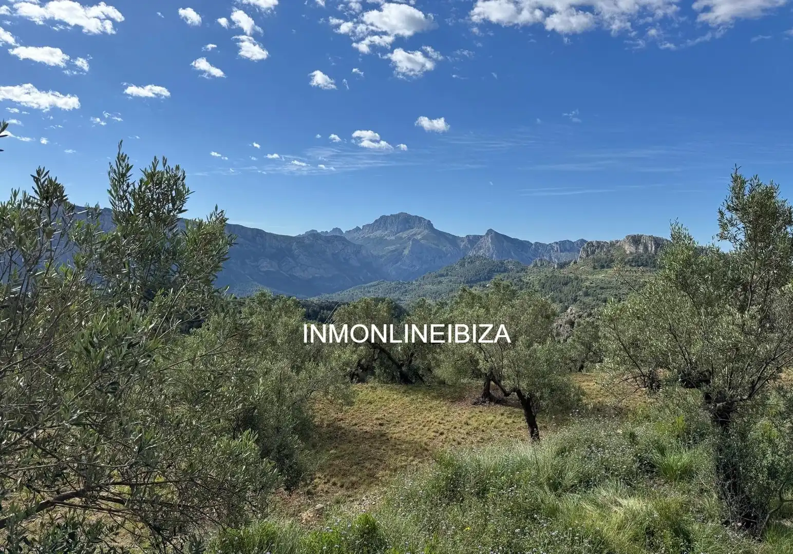Land for sale in Tàrbena