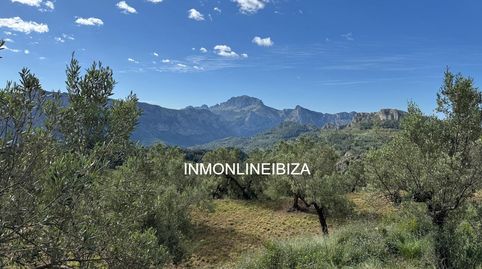 Foto 4 de Terreno en venta en Parelles, Tàrbena, Alicante