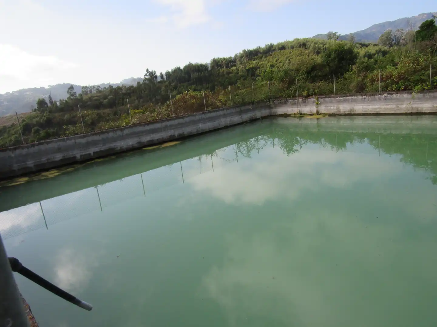 Swimming pool of Land for sale in Moya (Las Palmas)