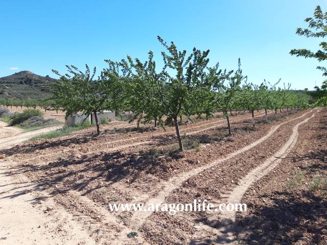Terreno en Venta en Fabara