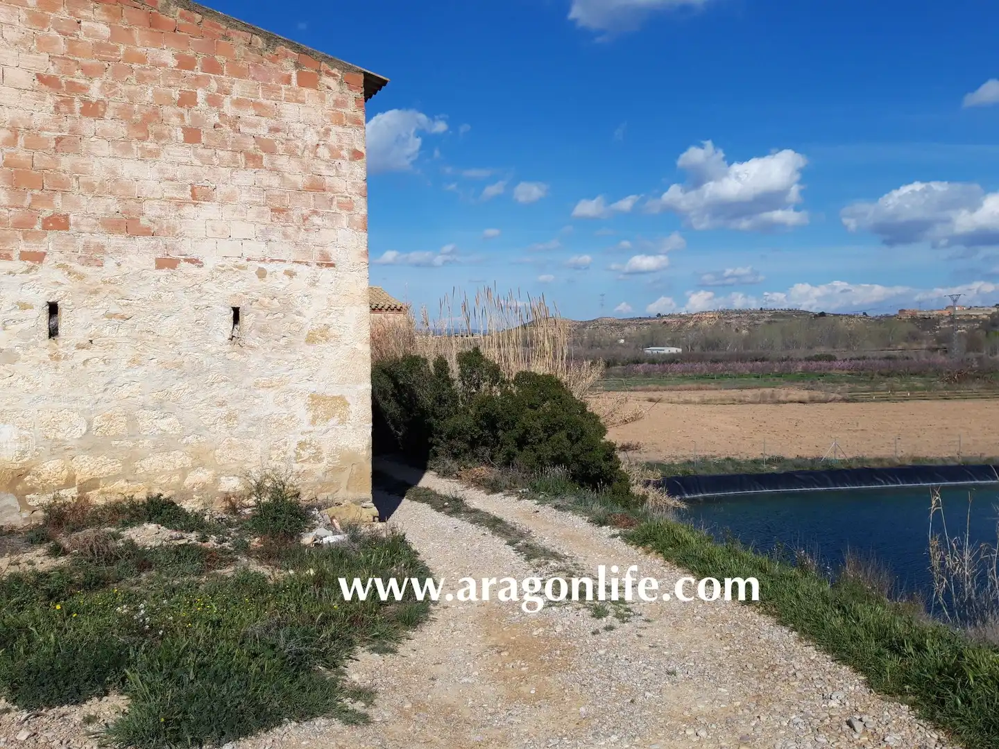Jardín de Casa o chalet en venta en Fabara