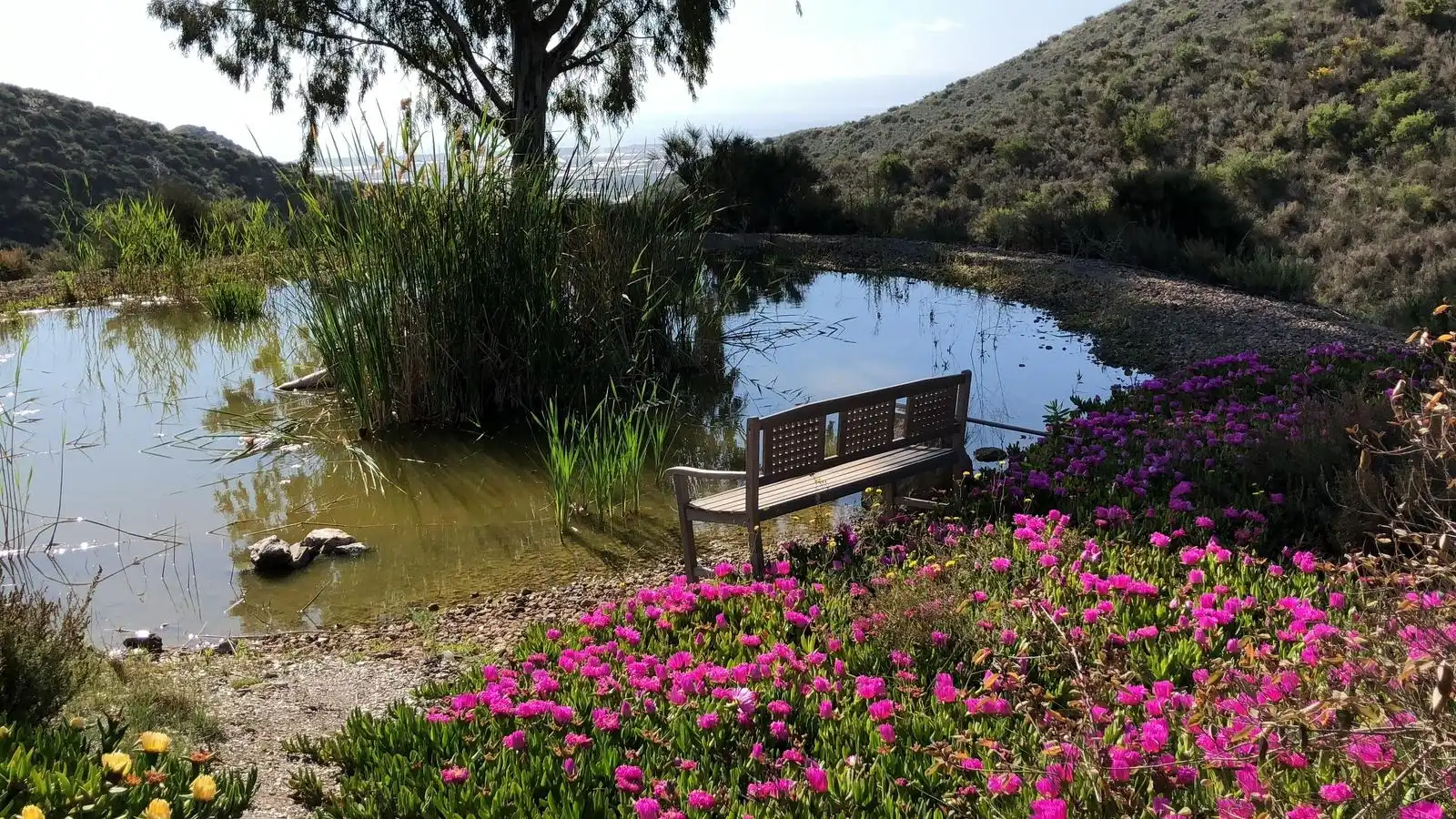 Garden of Country homes for sale in Águilas  with Air Conditioner, Private garden and Terrace