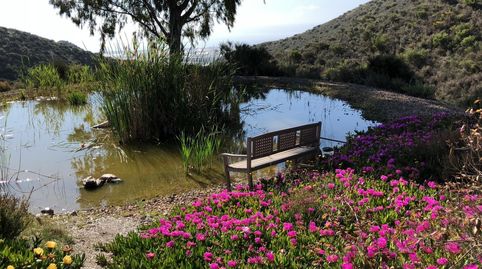 Foto 4 de Finca rústica en venta en Calabardina, Águilas