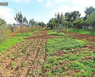 Land for sale in Málaga Capital