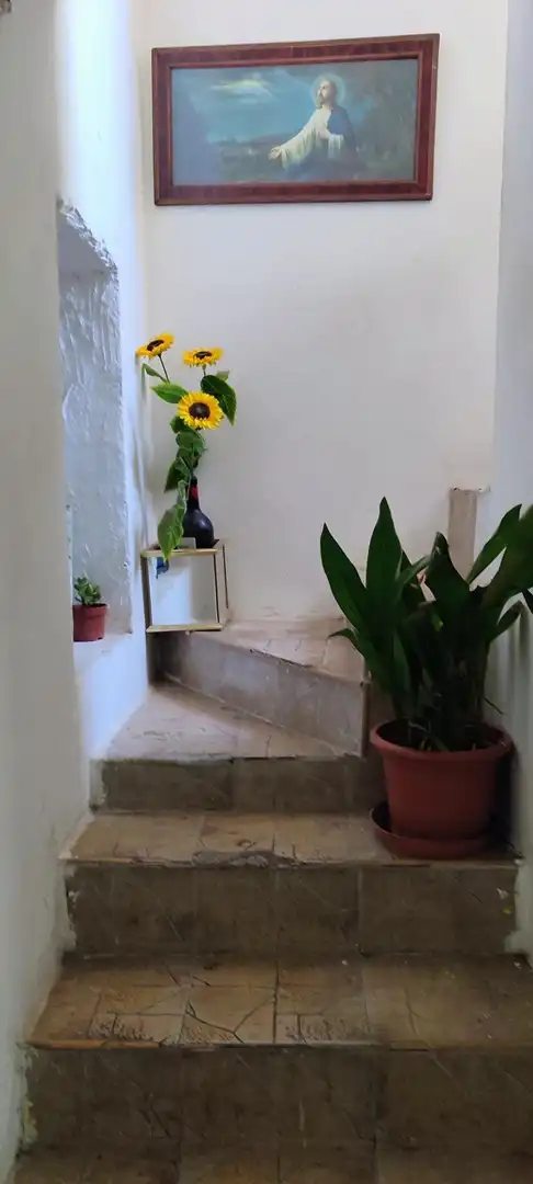 Finca rústica en venda en Tíjola amb Terrassa