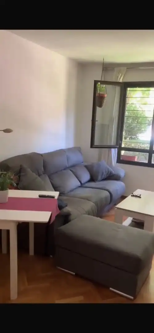 Living room of Study for rent in Pozuelo de Alarcón  with Air Conditioner, Heating and Private garden