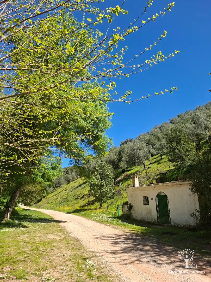 Terreni e lotti in vendita a Camino de la Ermita 18, imagen 19
