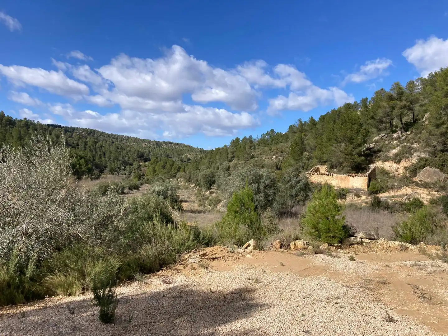 Terreni e lotti in vendita a Arens de Lledó, imagen 8