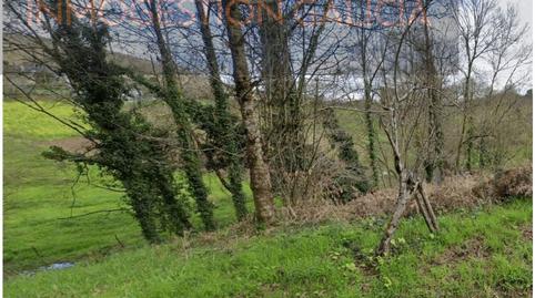 Foto 2 de Finca rústica en venda a Lugar Xocin, Carral, A Coruña
