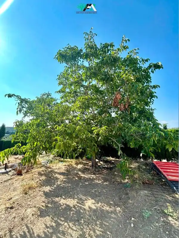 Xalet amb piscina en venda a Úbeda, imagen 29