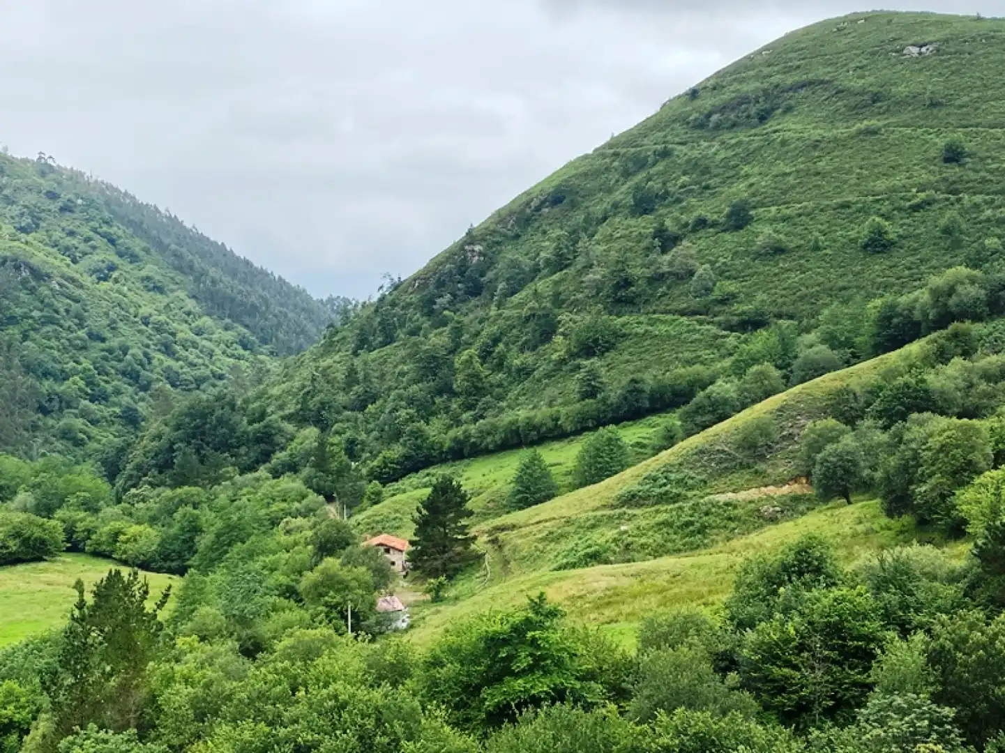 Vista exterior de Casa o xalet en venda en Mazcuerras amb Calefacció