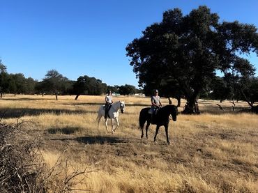 Terreno rustico in vendita a Pedanías de Badajoz