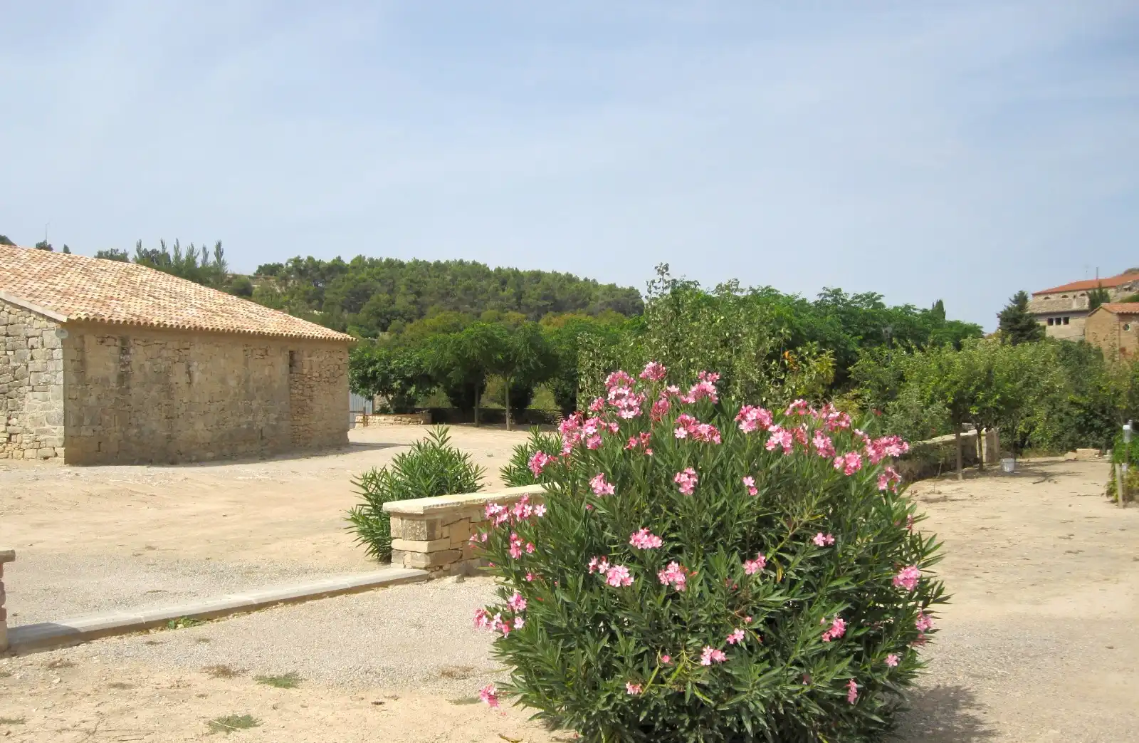 Terreno rústico en venta en Vallbona de Les Monges, imagen 19