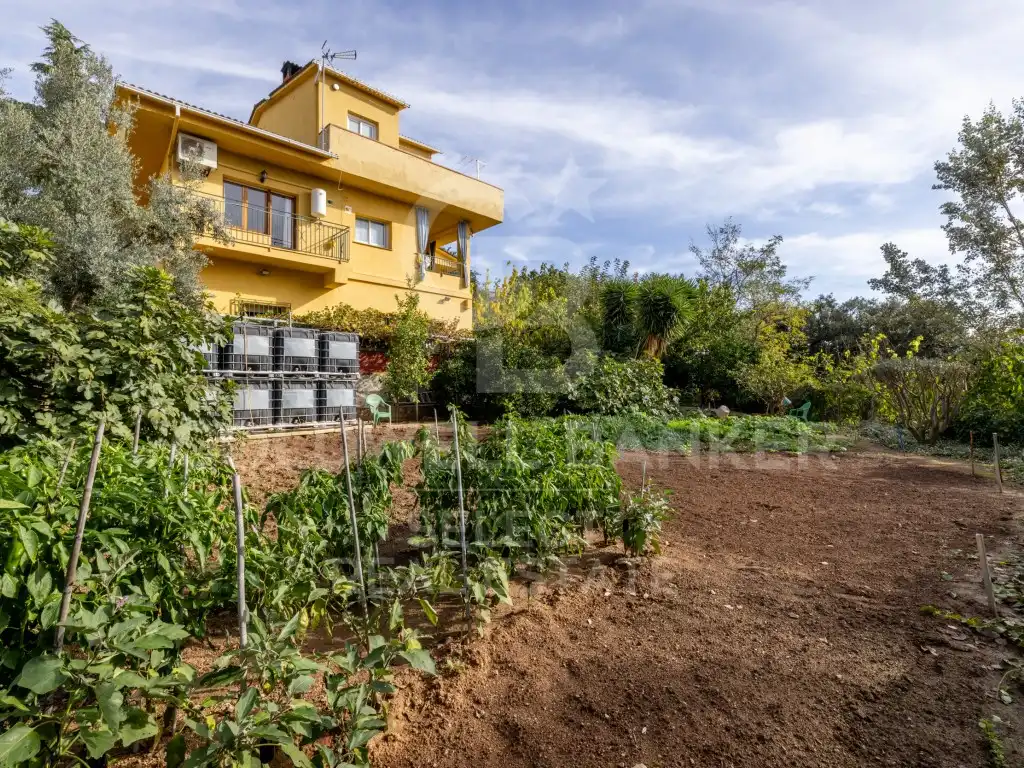 Jardí de Casa o xalet en venda en Castellar del Vallès