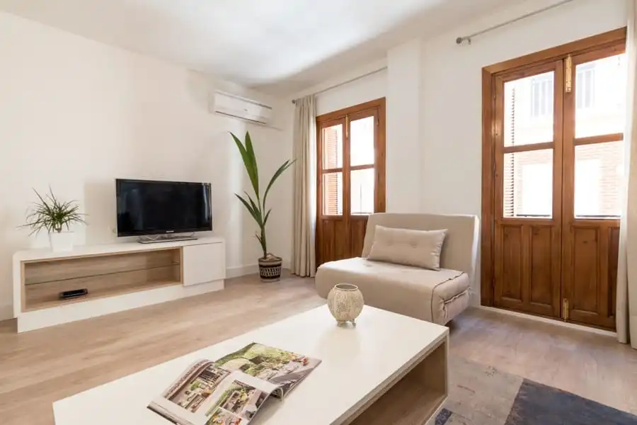 Living room of Apartments for rent in Centro