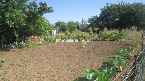 Foto 5 de Casa o xalet en venda a A Malata - Catabois - Ciudad Jardín, Ferrol