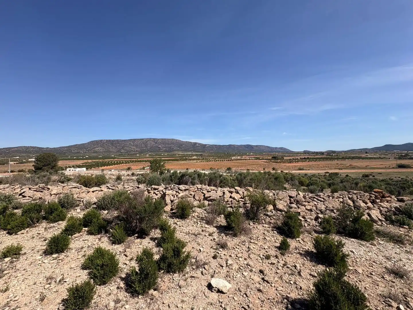 Terreno residencial en venta en El Pinós / Pinoso, imagen 6