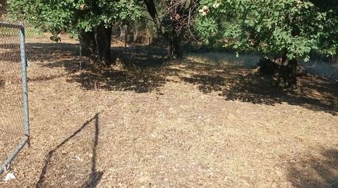Terreny en venda en SELVA BRAVA, immagine 4