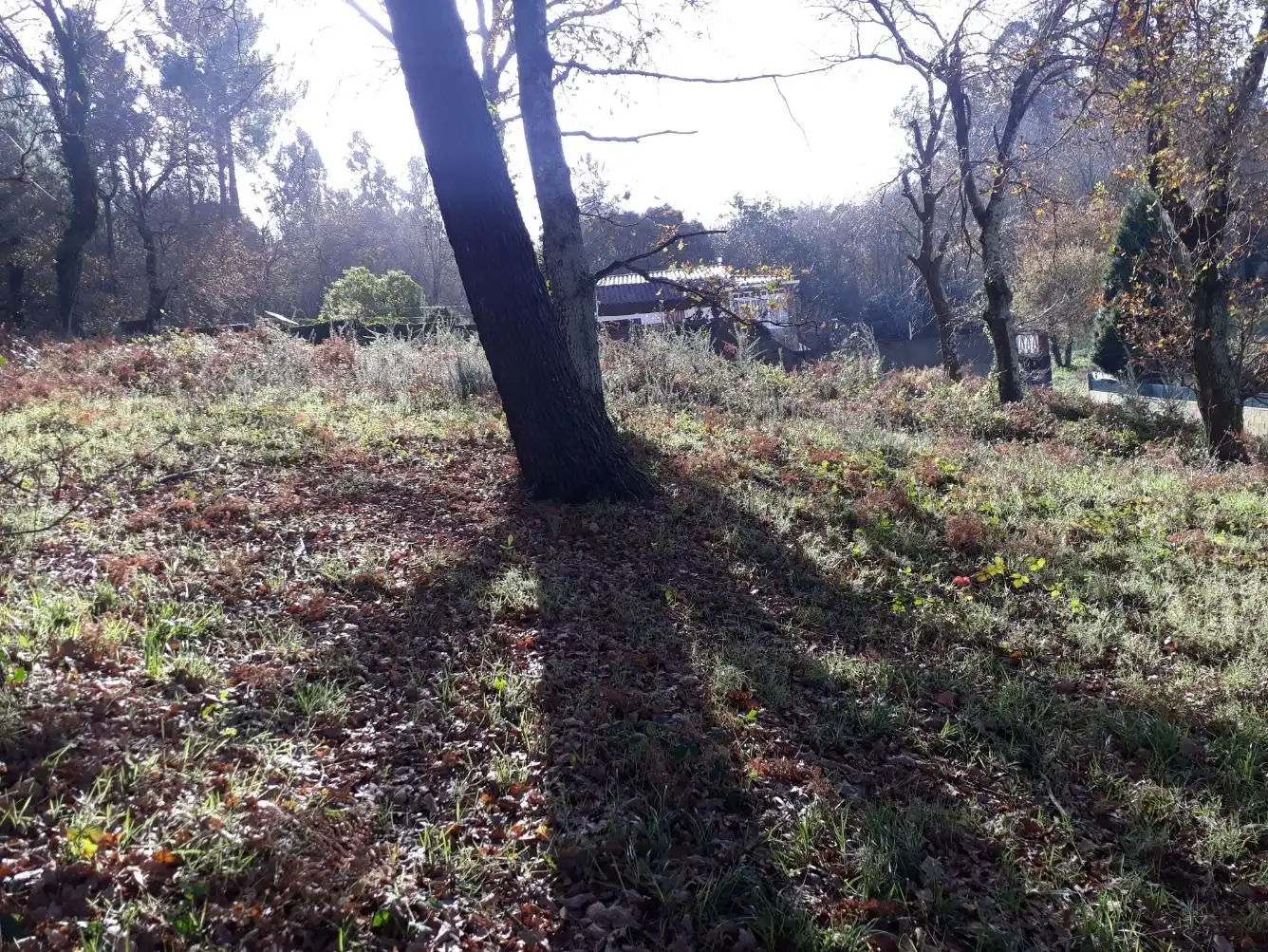 Residential land for sale in Nós, imagen 3
