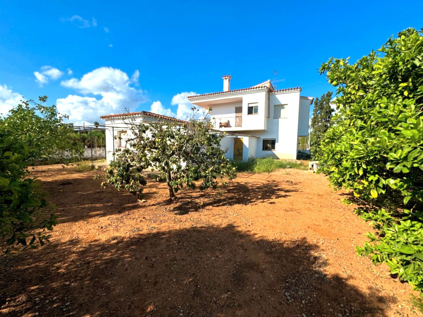 Jardí de Casa o xalet en venda en Dénia amb Jardí privat i Terrassa