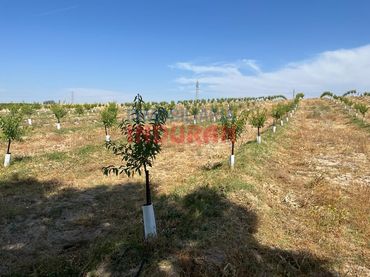 Country house for sale in Belvís de Monroy