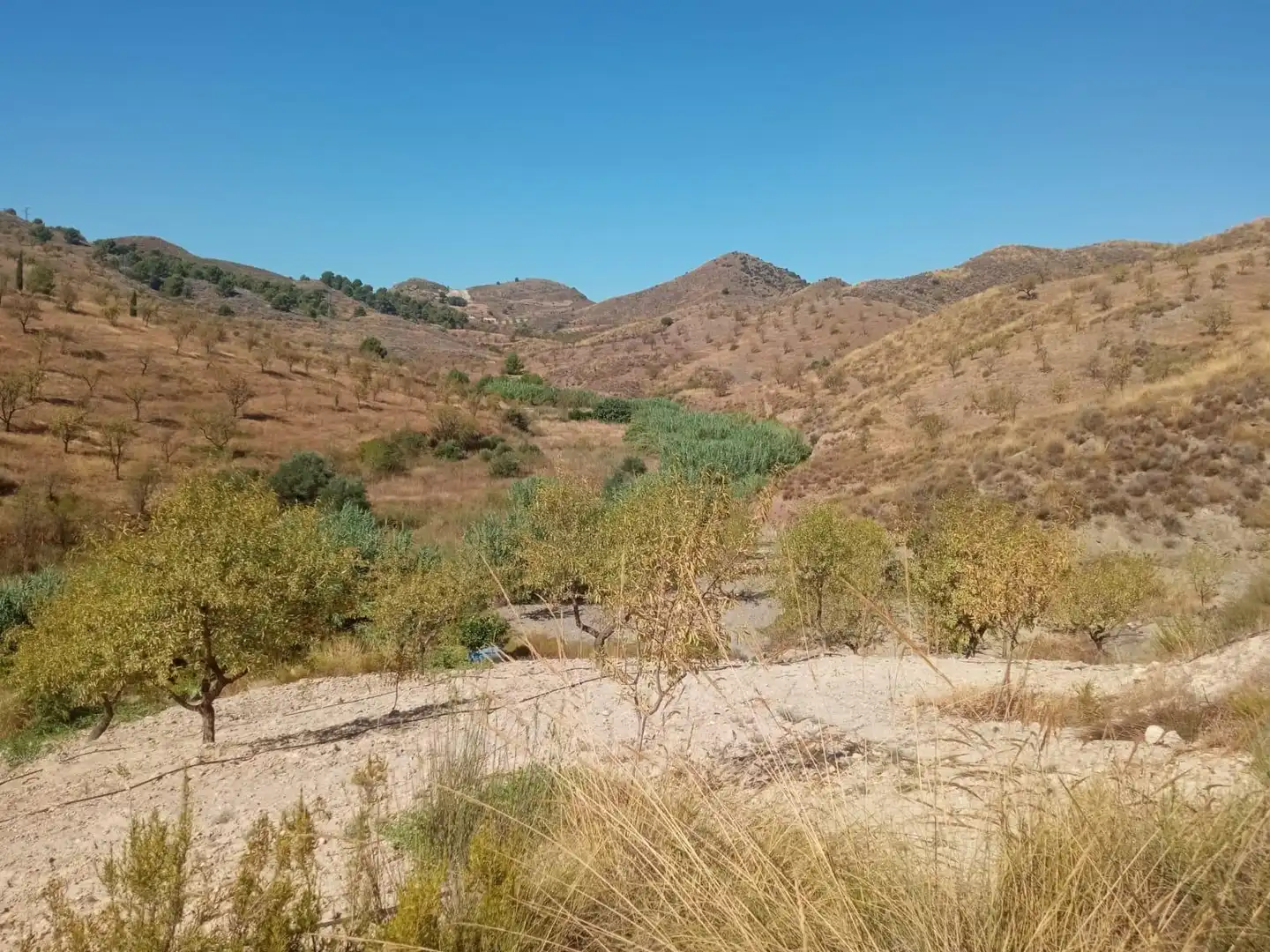 Terrains et parcelles à vendre à Pedanías Norte, imagen 34