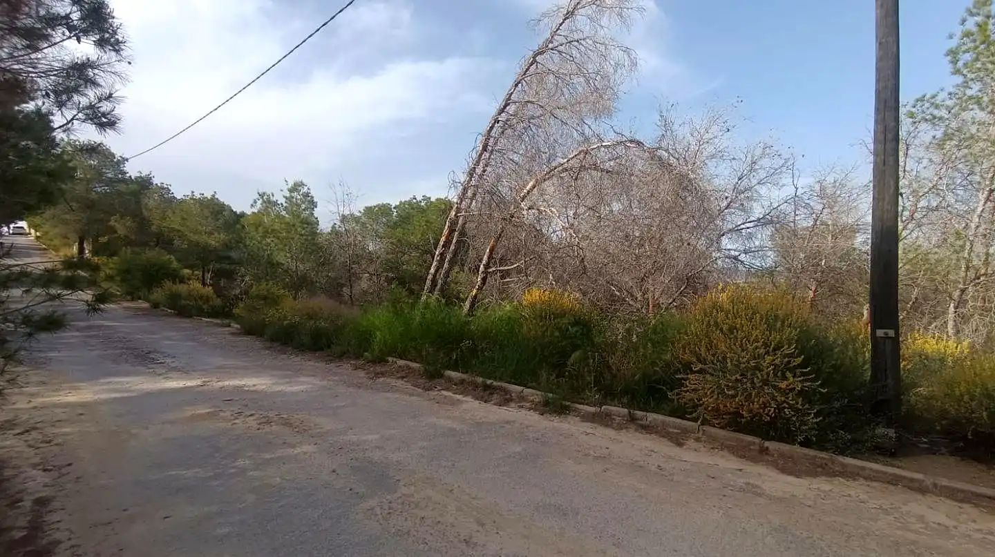 Terreni e lotti in vendita a Poniente, imagen 10