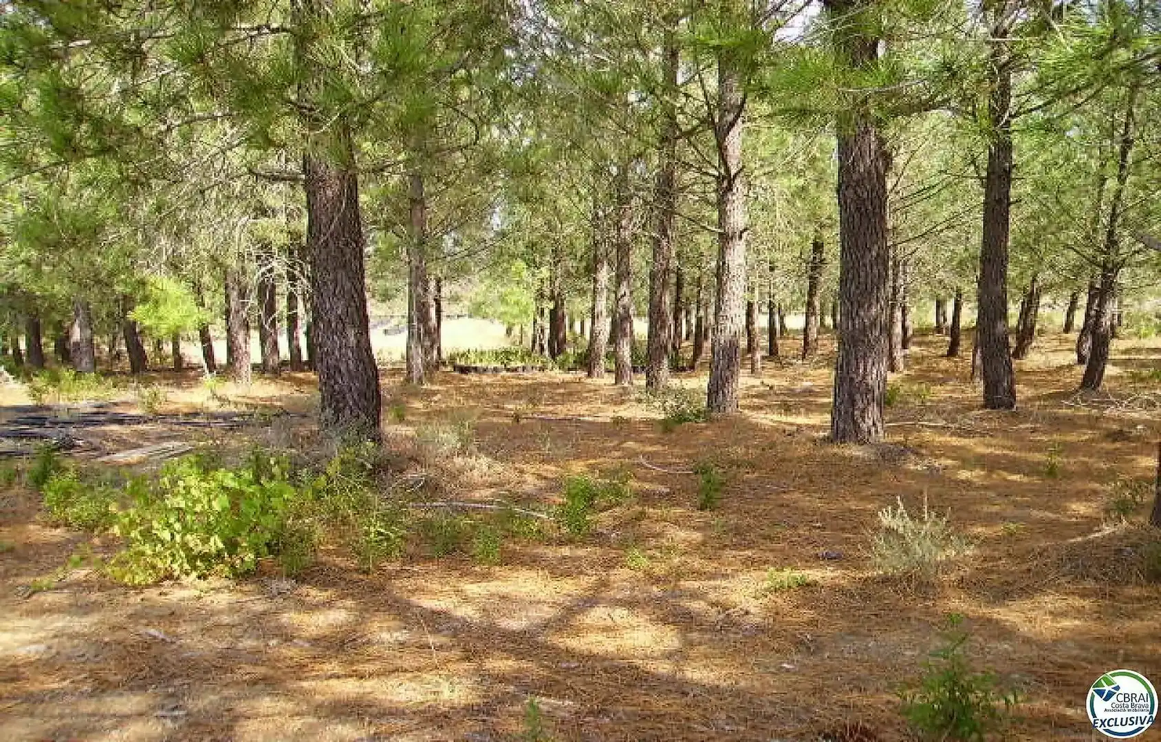 Terreno residencial en venta en Butaros, imagen 14