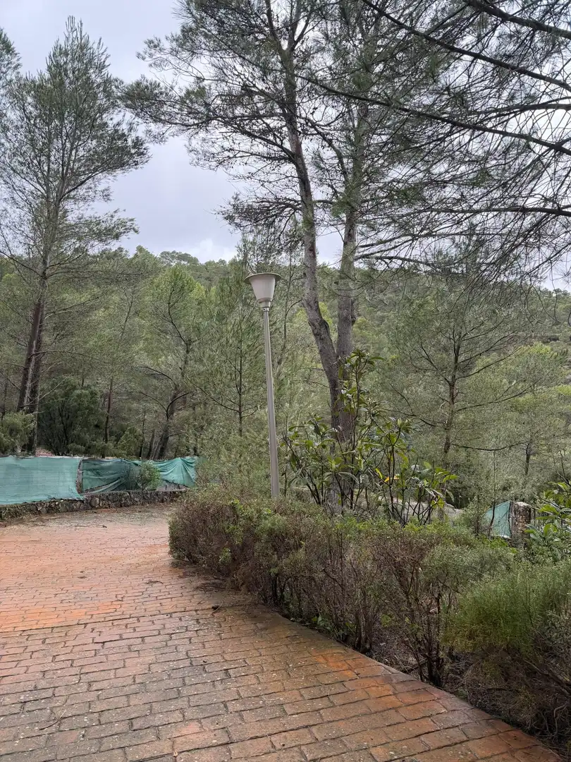 Xalet amb piscina en venda a Calle Nueva Sierra, imagen 21