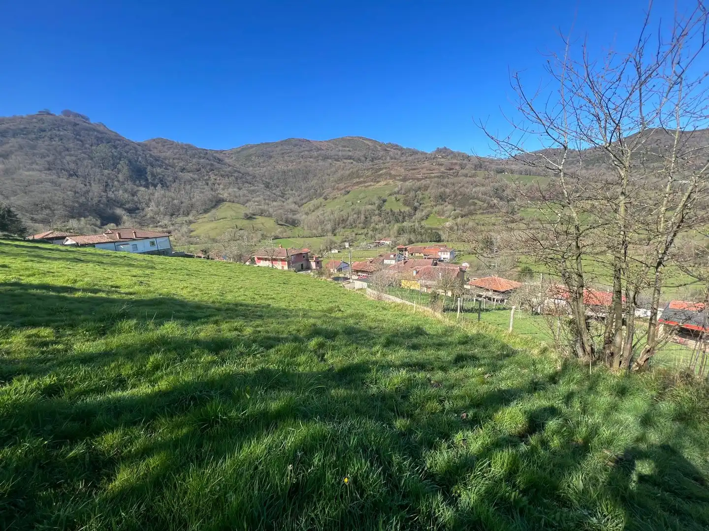 Residential land for sale in Grado, imagen 10