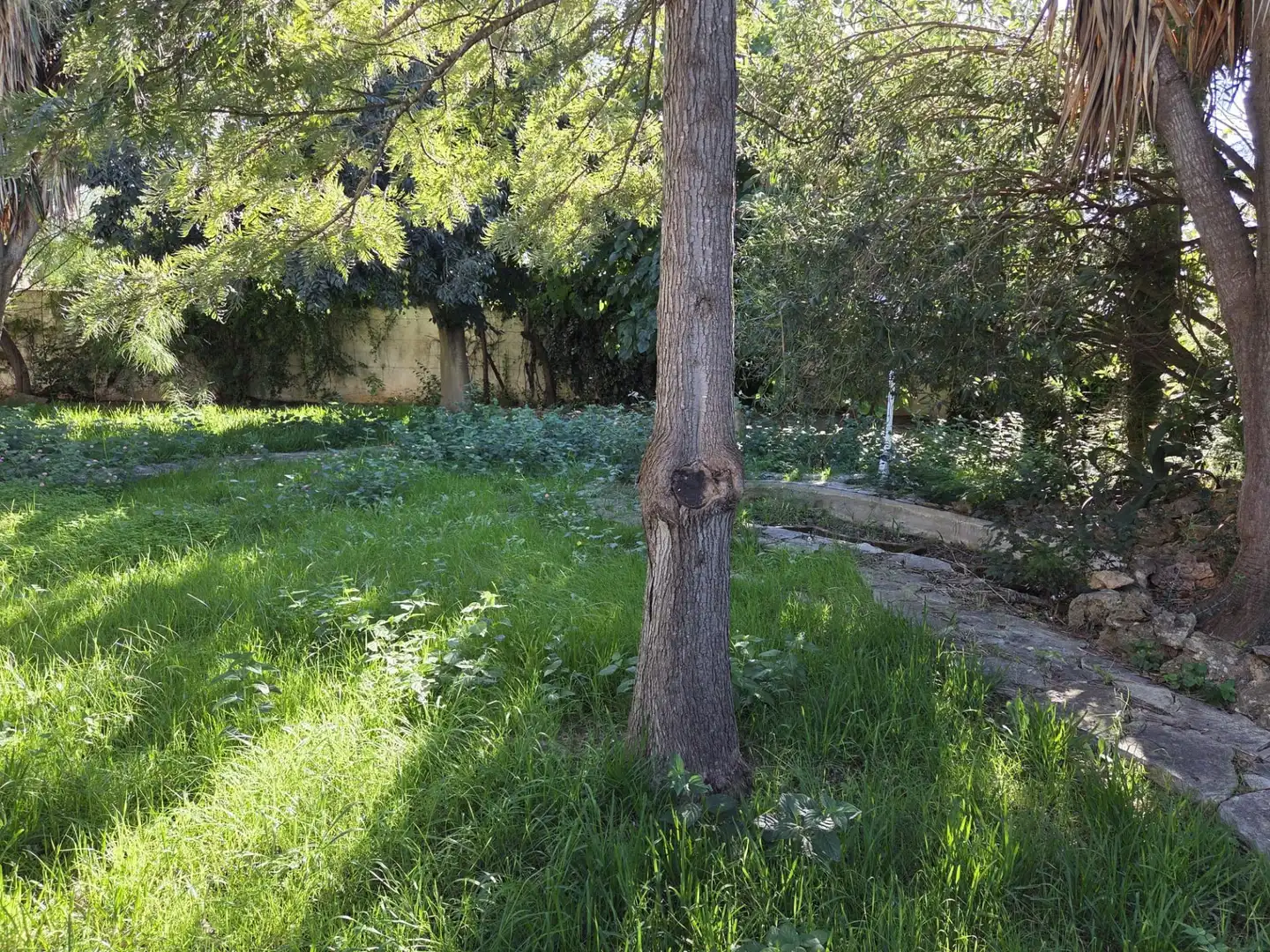 Casa con giardino in vendita a Pueblo, imagen 5