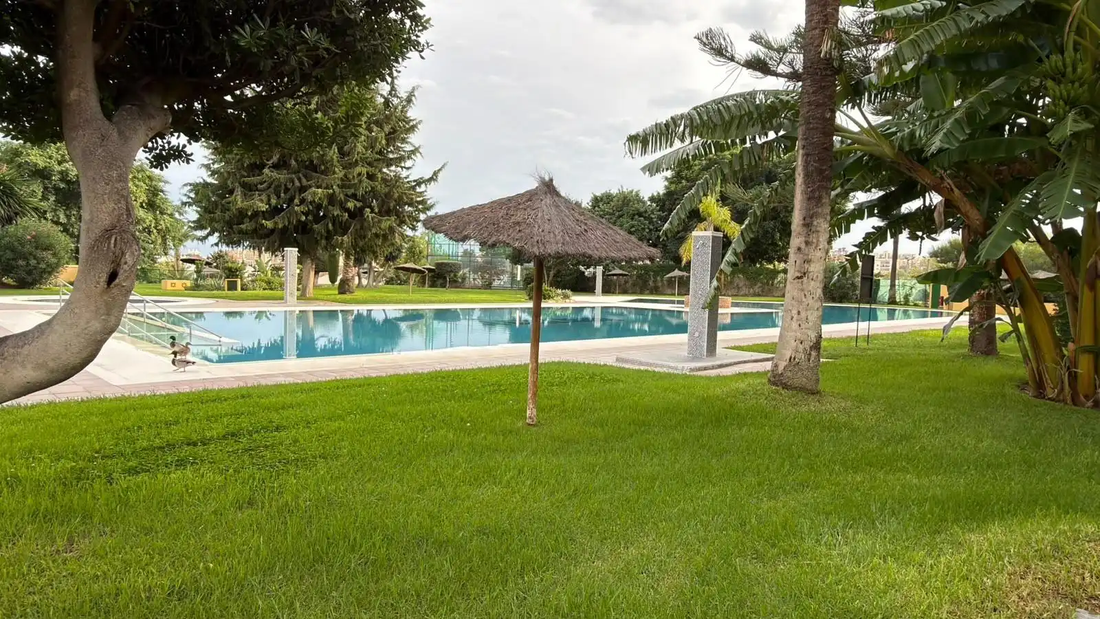 Monolocale con piscina in vendita a Calle Calle Colina 10, imagen 20