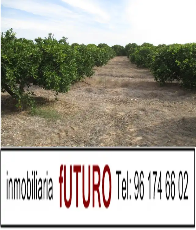 Terreny rústic en venda a Plaça Numero 5