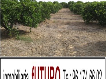 Terreno rústico en venta en Plaça Numero 5