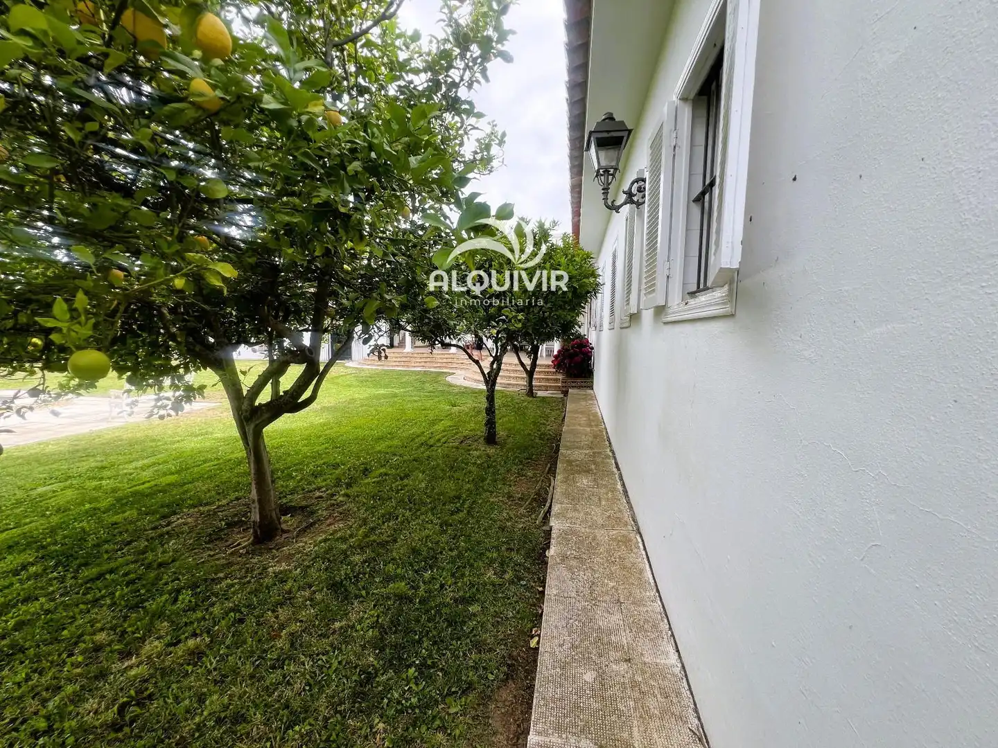 Vista exterior de Casa o chalet en venta en Almonte con Terraza, Trastero y Piscina