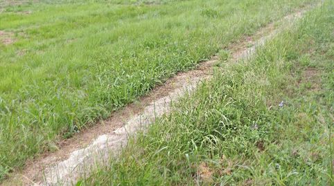 Venta de 12 fincarustica en paraje Proc. Simplificado Nº SN Cullera ValenciaValència, imatge 3