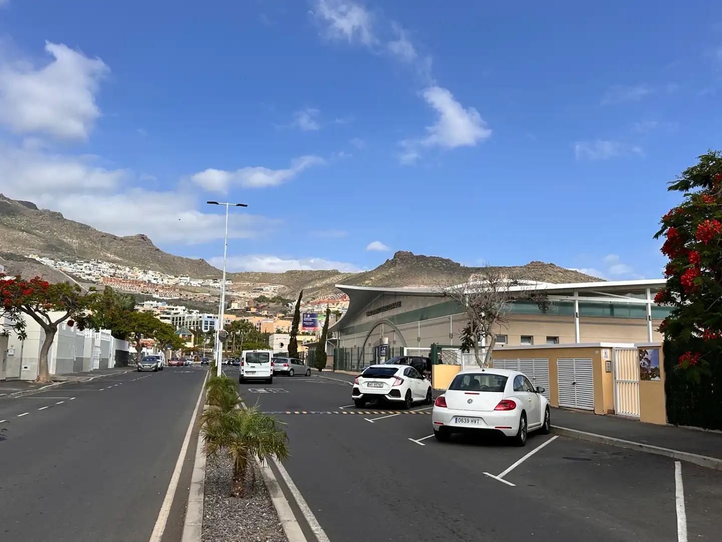 Vista exterior de Casa o chalet en venta en Adeje con Aire acondicionado, Jardín privado y Terraza
