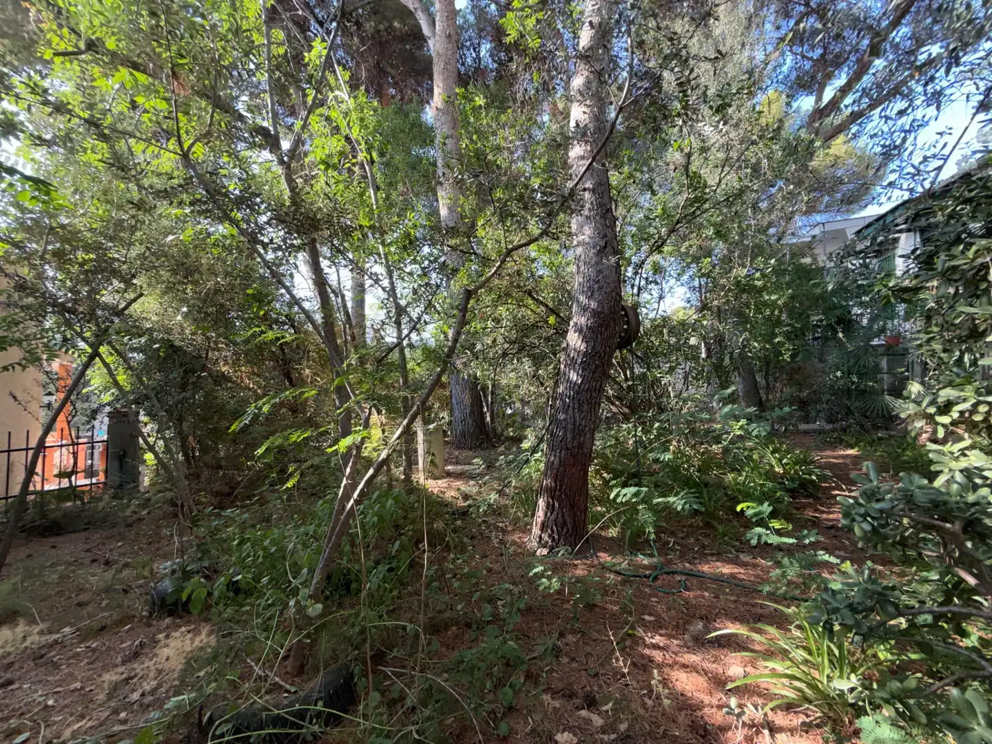 Villa avec jardin à vendre à Calle ALTO DE LA VILLA, imagen 43