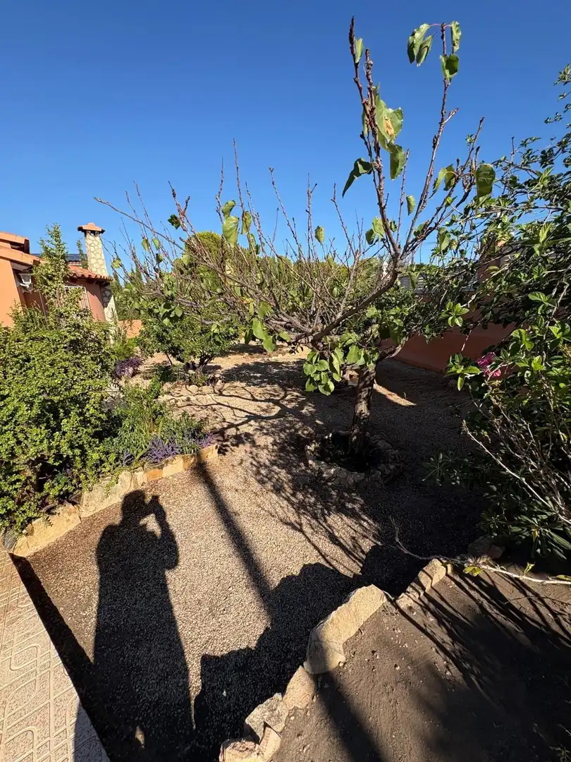 Villa avec piscine à vendre à Escandinavia - Cautivador, imagen 26